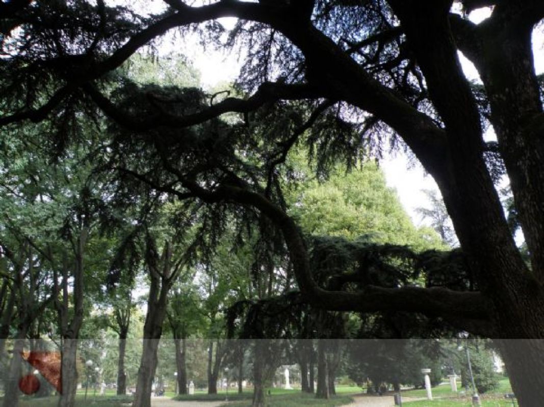 Giardini di Reggio