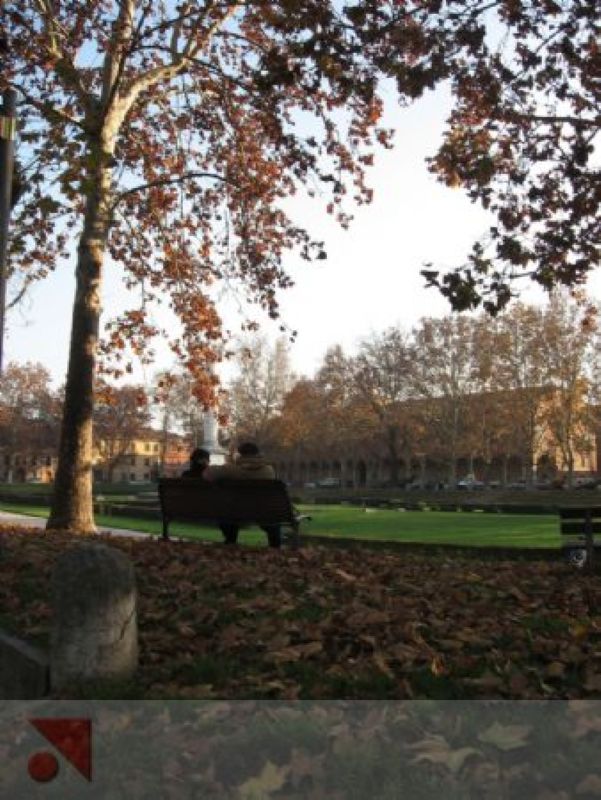 Piazza Ariostea tra gli alberi...