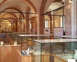 Cesena Museo Archeologico